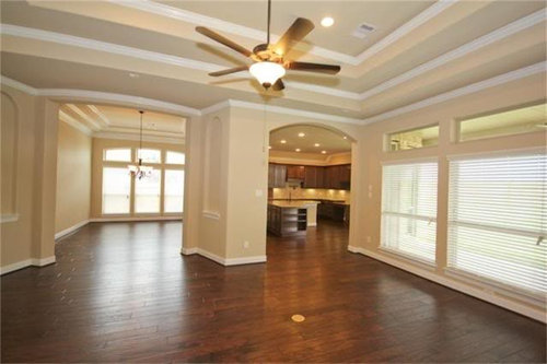 Painting Tray Ceilings