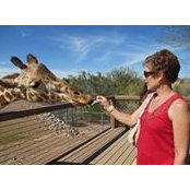 Lori Bauer's photo