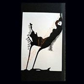 Helene Lancaster's photo