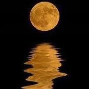 Lisa Wilson's photo