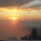 Micki McMurray's photo