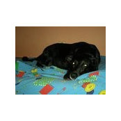 Dragana Vukovic's photo
