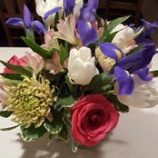 Jane Hess's photo