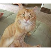 Terry Lind's photo