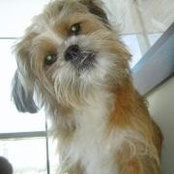 Shannon Bowlin's photo