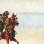 Sultan Al Ameri's photo
