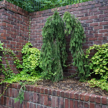 Japanese Inspired English Gardens