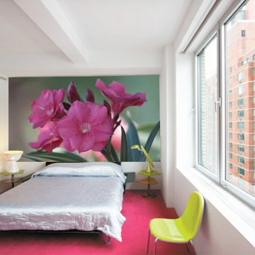Example Wall Murals