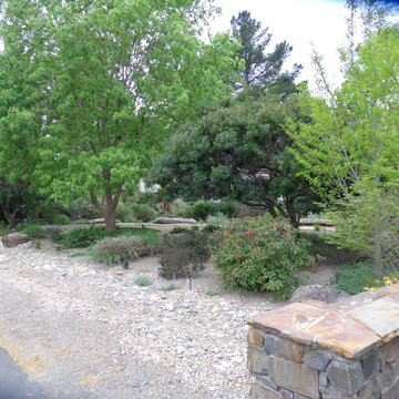 Lawn Replacement/Reduction in Lawn Size
