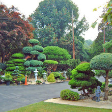 LEE'S ORIENTAL ART LANDSCAPES