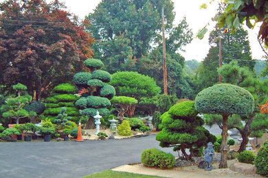 This is an example of an asian garden in DC Metro.