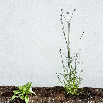 Baca Pollinator Garden