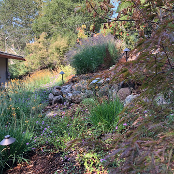 Orinda Oak Forest Landscape and Lighting