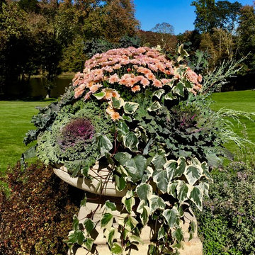 2017 autumn containers