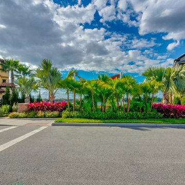 Landscape Design | Common Area