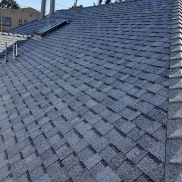 Roof with Skylights
