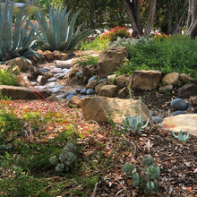 Front Drive & Yard