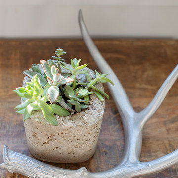 My Houzz: Pretty Tropical Touches in South Carolina
