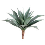 Silk Plants Direct - Silk Plants Direct Large Agave - Green Frosted - Pack of 2 - One of the most popular ornamental indoor cactus plants, our Large Agave will bring in the desert persona in your home décor. Our silk cactus and succulents will leave everyone speechless with its delightfully life-like looks and texture. Measuring 25", this faux cactus does not require any sort of maintenance.
