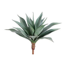Wish List