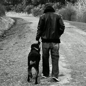 Josh White's photo