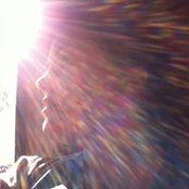 Lara Wilson's photo