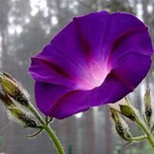 Amy Hartwig's photo
