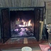 Timothy Fazio's photo