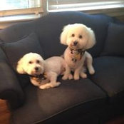 Susan Armistead's photo