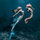 shannon_ackerman