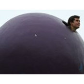 Rob Campbell's photo