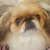 Sally Kidwell's photo