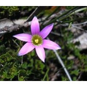 Ann Patton's photo