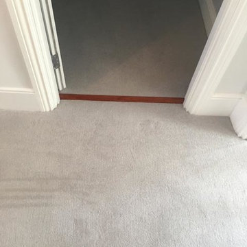 Light Carpet Installed to Stairs