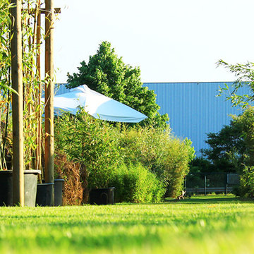 Bambusgarten