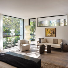 Living Room Windows