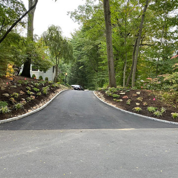 Darien - Shade Garden Enhancements
