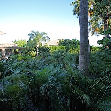 jardines de casa jazmín.