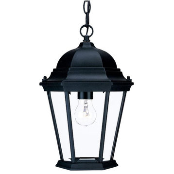 Acclaim Richmond 1-Light Outdoor Hanging Lantern 5206BK - Matte Black