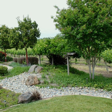 California Vineyard Estate