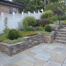BACKYARDS