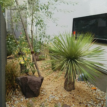 ドライガーデン