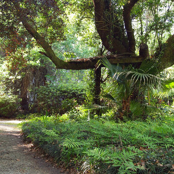 My Houzz: Midcentury Modern Artist Retreat