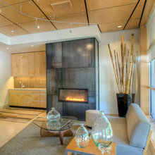 metal fireplace surround