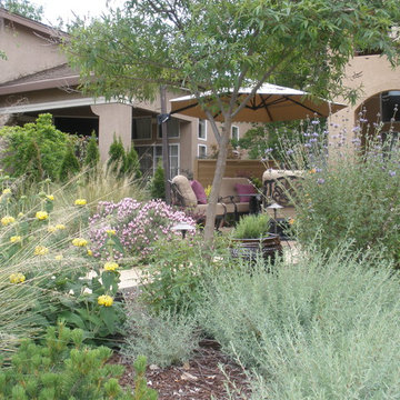 Drought Tolerant Landscape with Courtyard Feel