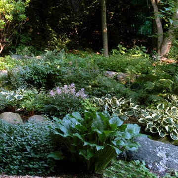 Shade Garden at Acorn Cottage in Connecticut