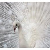 Sherry Dale's photo