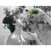 Elad Yehezkel's photo