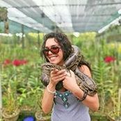 Cissia Orchidee's photo