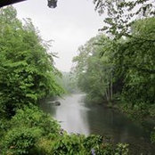Debbie Slavin's photo